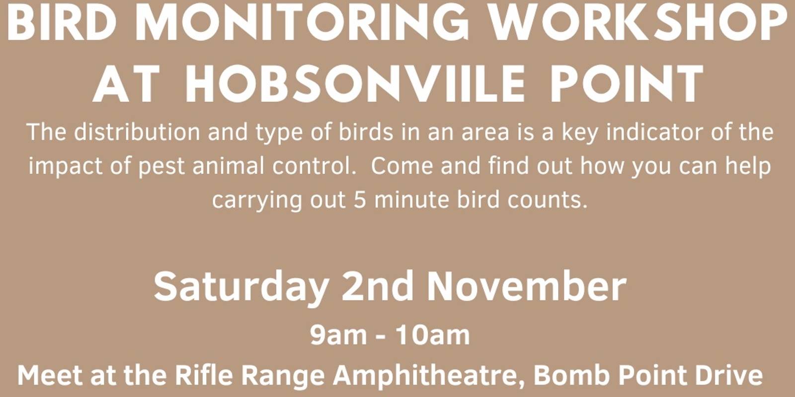 Banner image for Bird Monitoring 