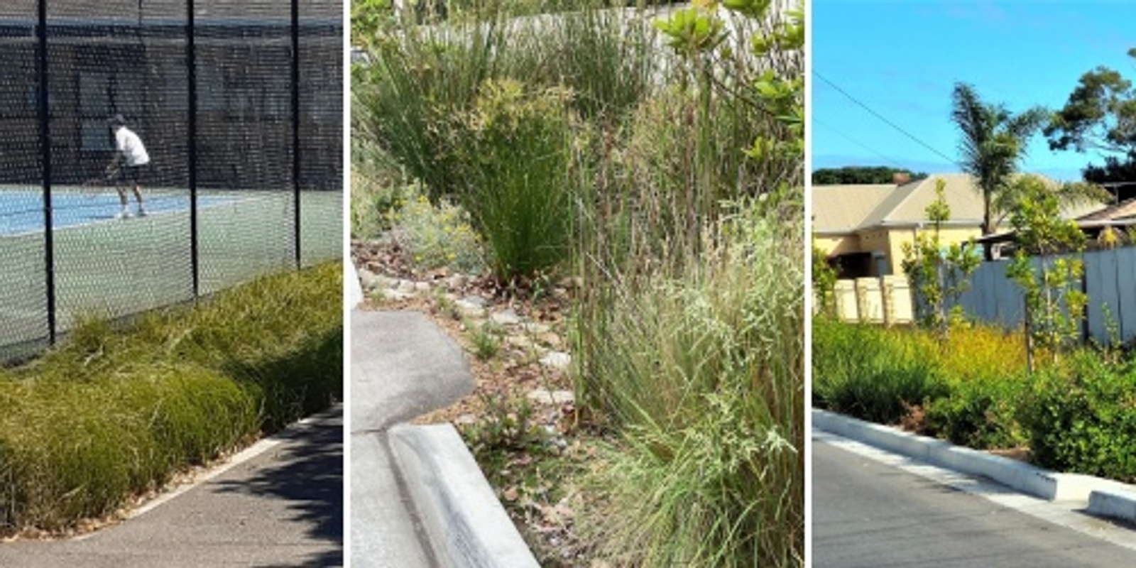 Banner image for Specifying biofiltration filter media and swale plantings | Community of Practice