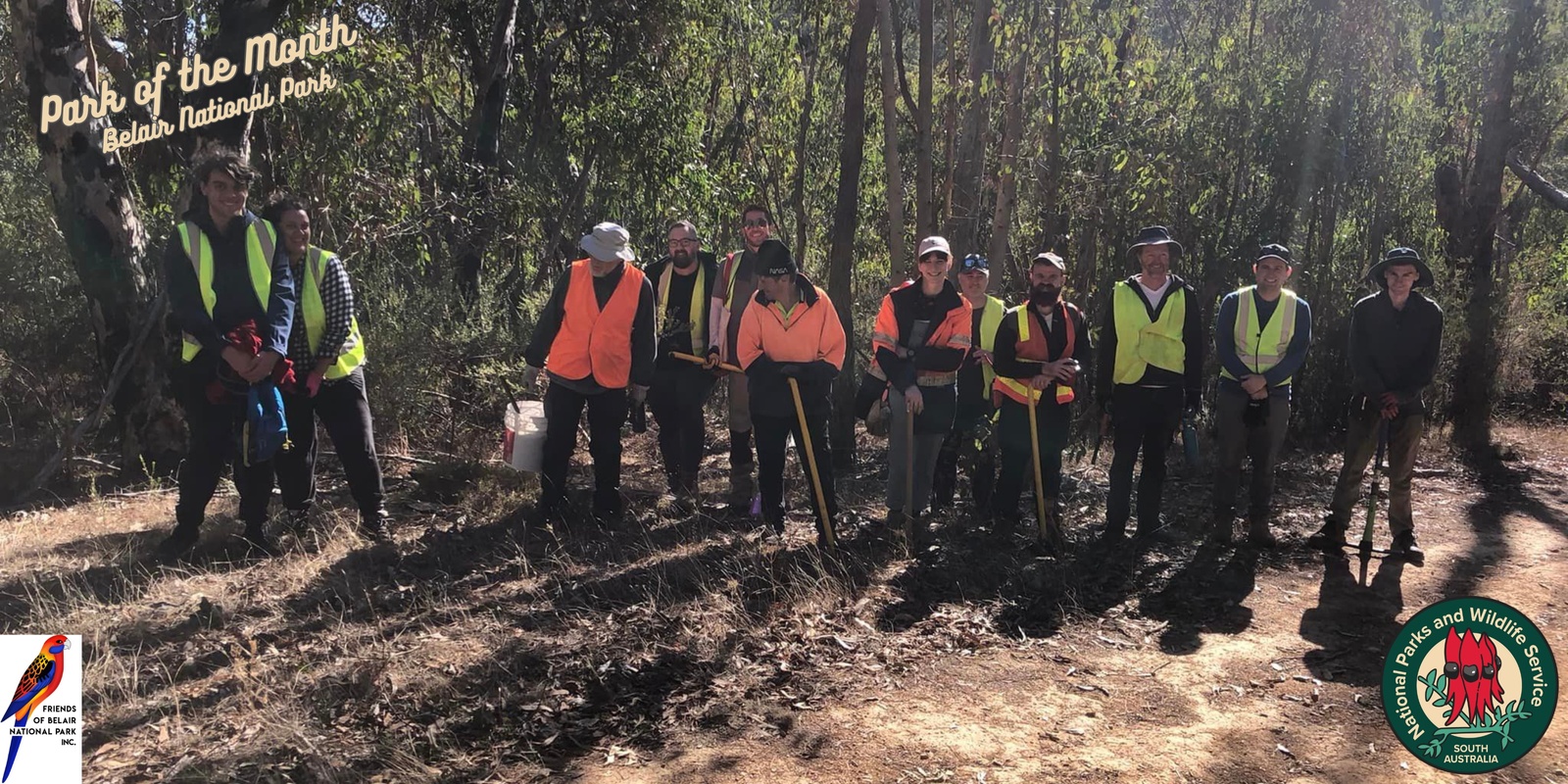 Banner image for Bushcare with the Friends of Belair National Park