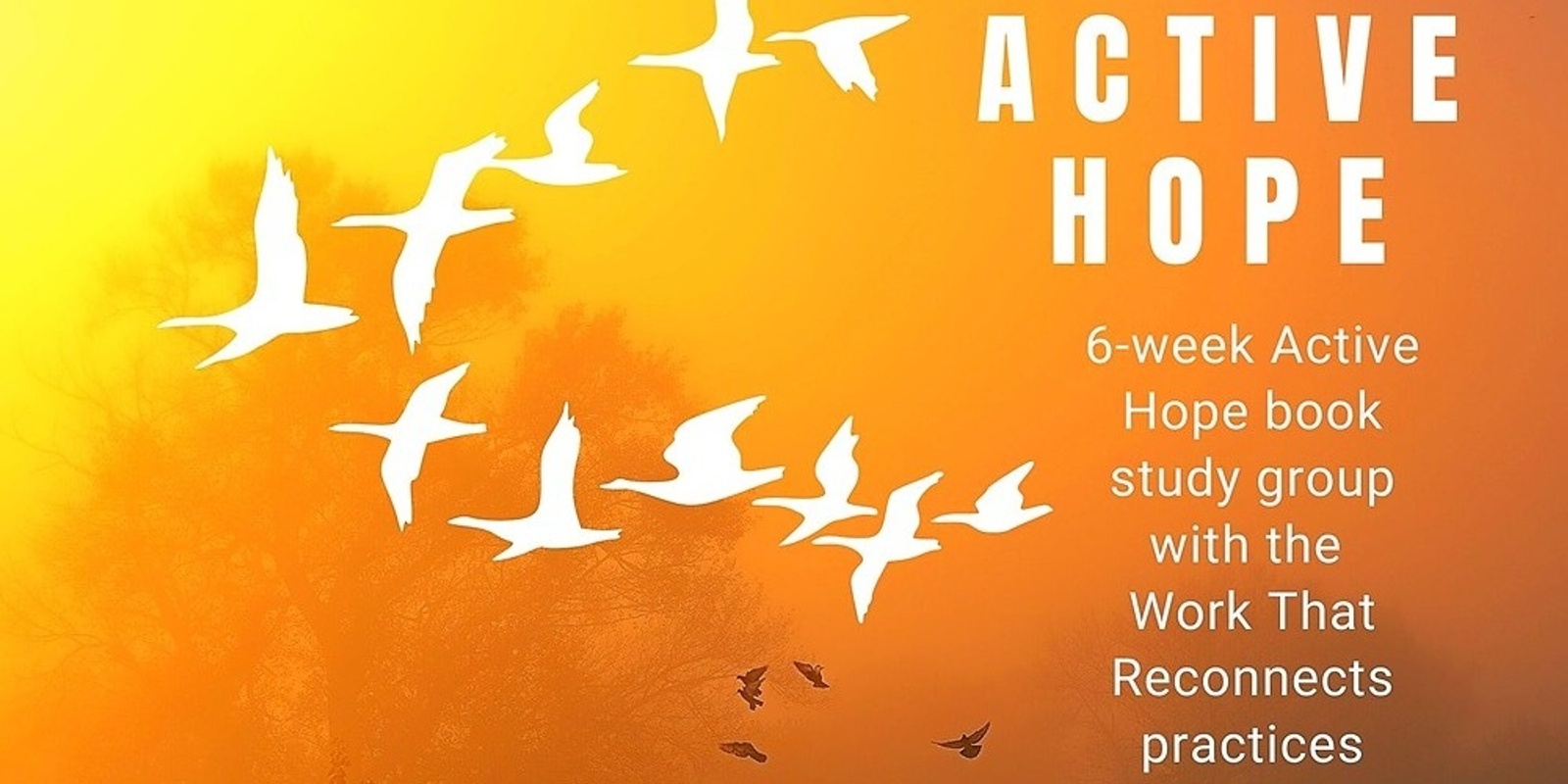 Banner image for Active Hope Study Group (6-weeks online) Symbiocene