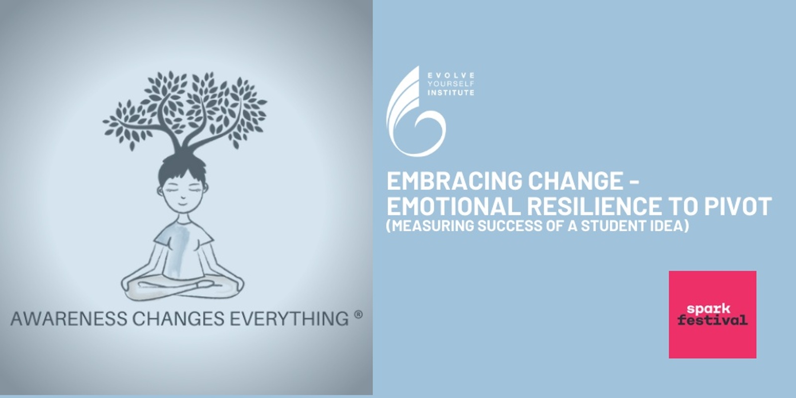 Banner image for Embracing change - Emotional resilience to pivot (measuring success of a student idea)