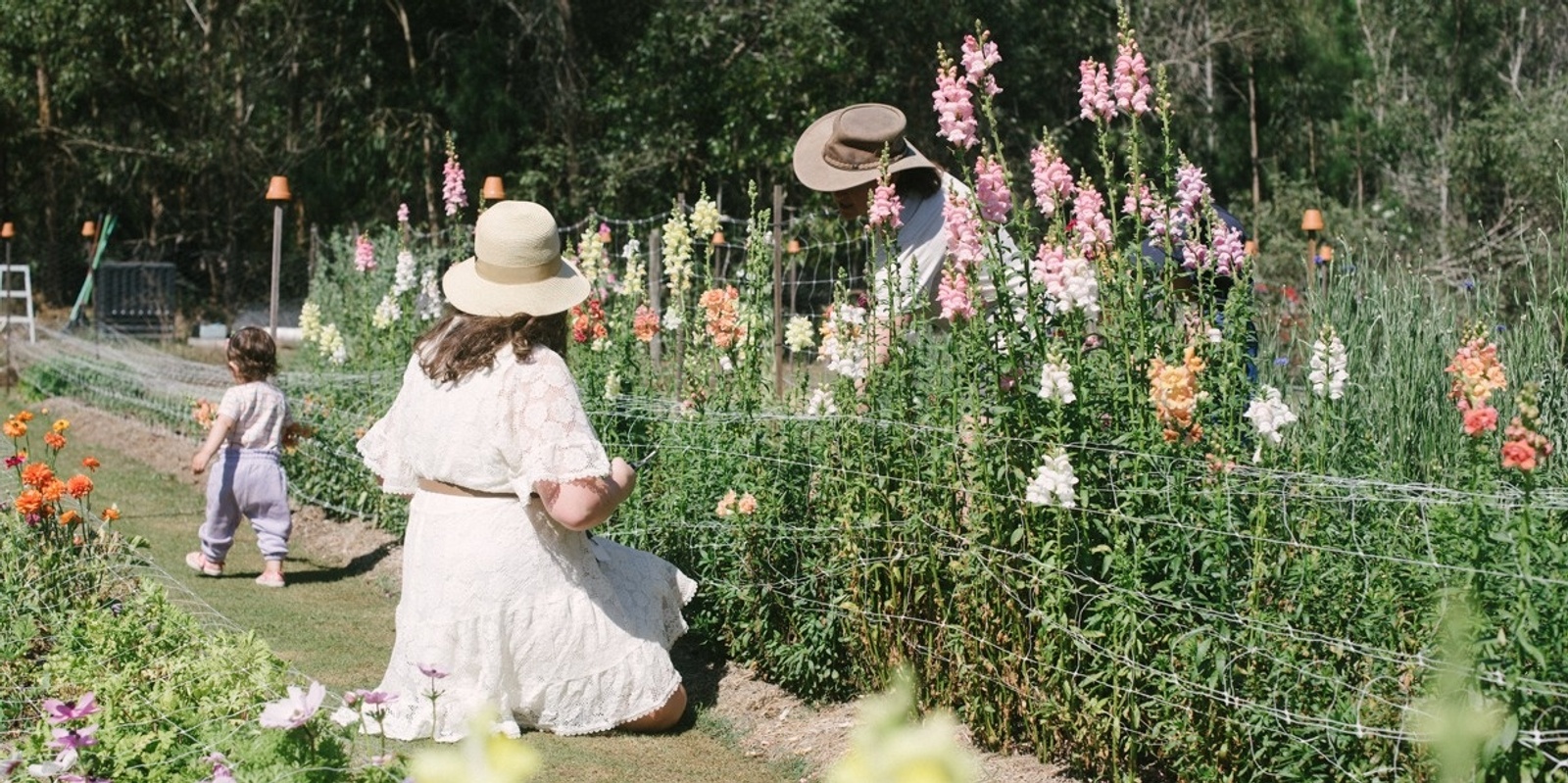 Banner image for School Holiday Flower Picking 