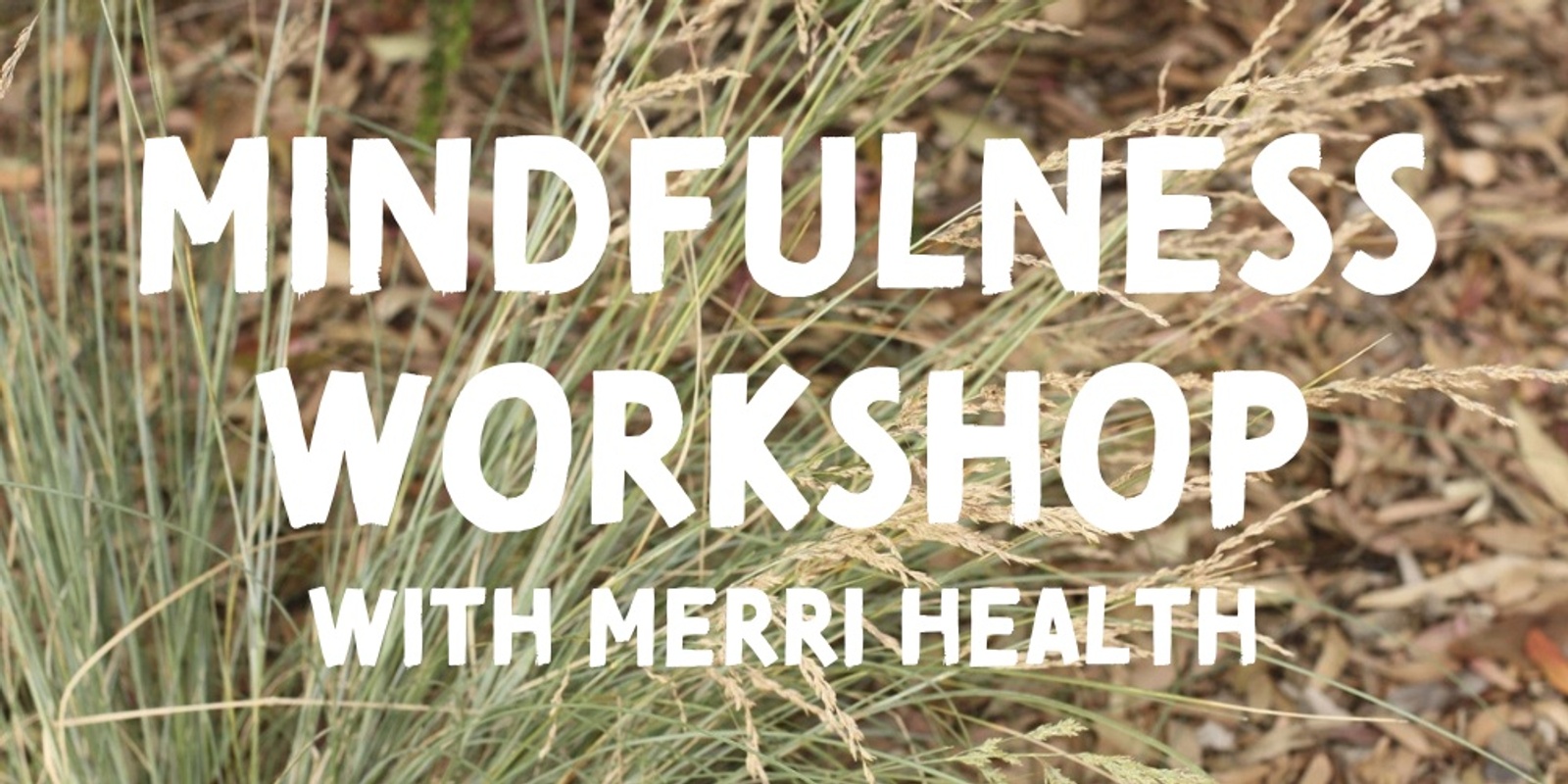 Banner image for Mindfulness Workshop with Merri Health