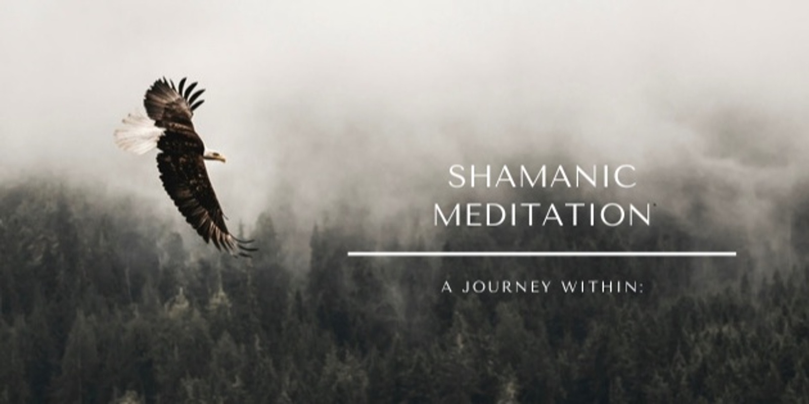 Banner image for Shamanic Meditation