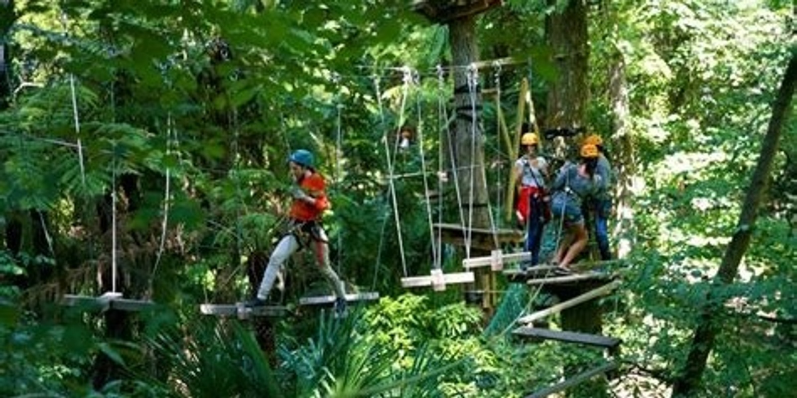 Banner image for KV Youth - Nowra Treetops Adventure