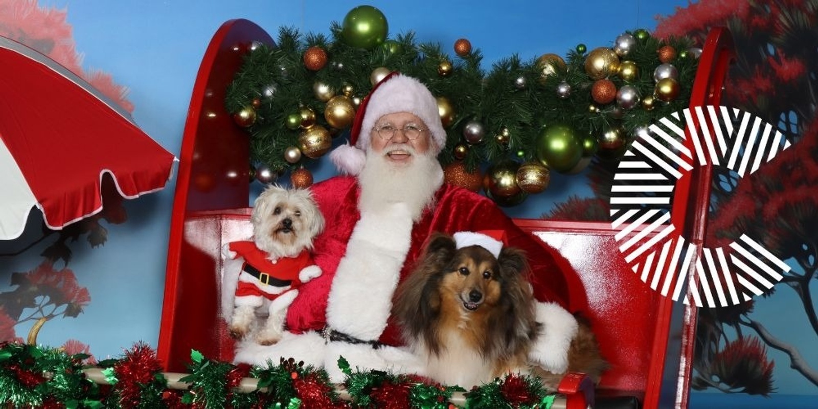 Banner image for Pawtraits at Santa's Bach Centre City 