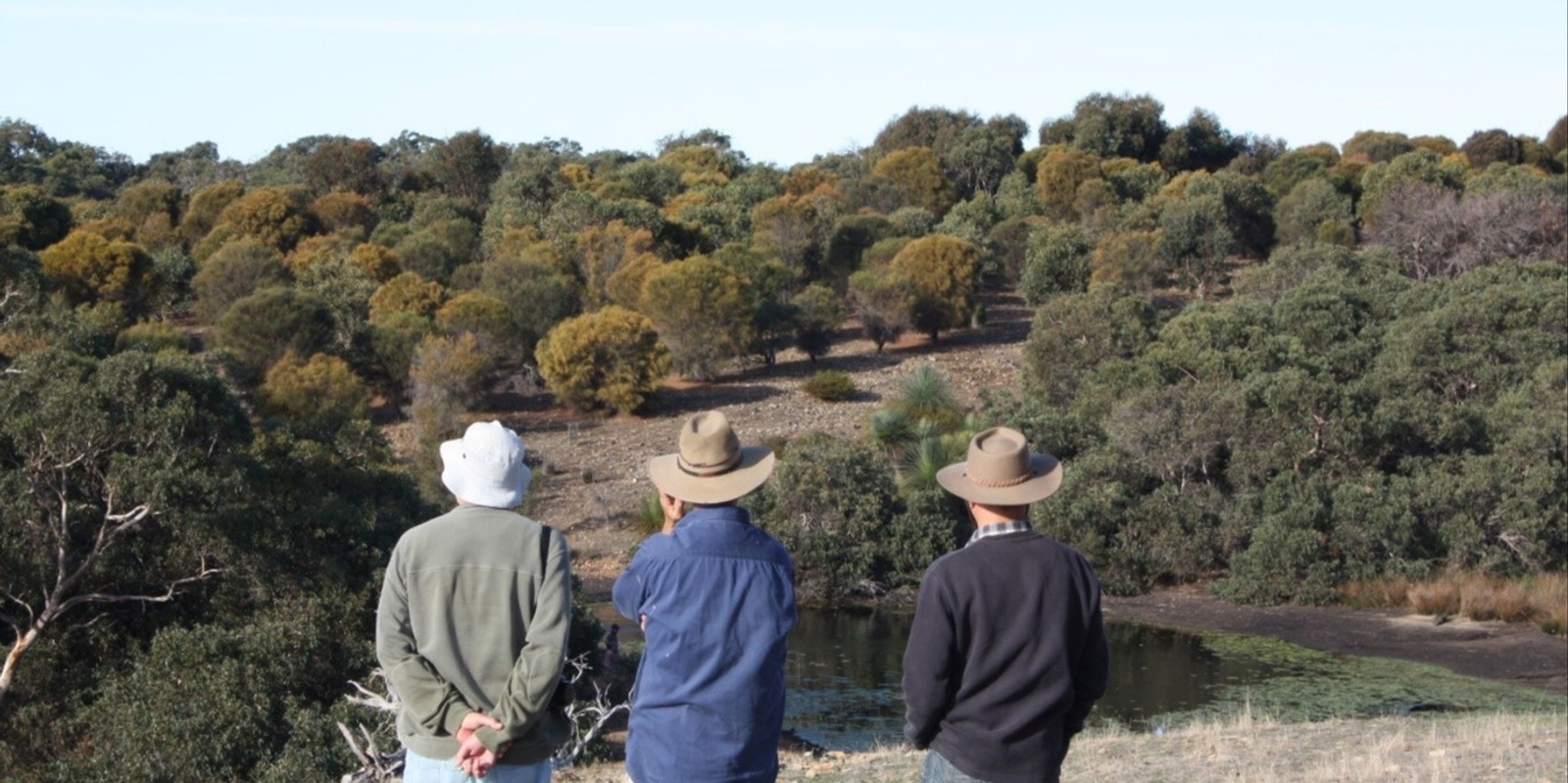 Banner image for Native Vegetation Workshop (Barossa)