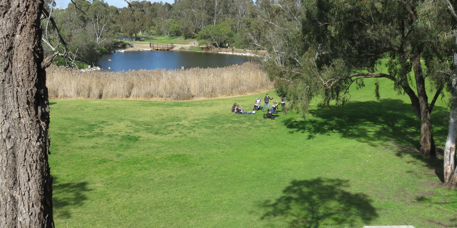 Banner image for Help us count the users of Darebin Parklands