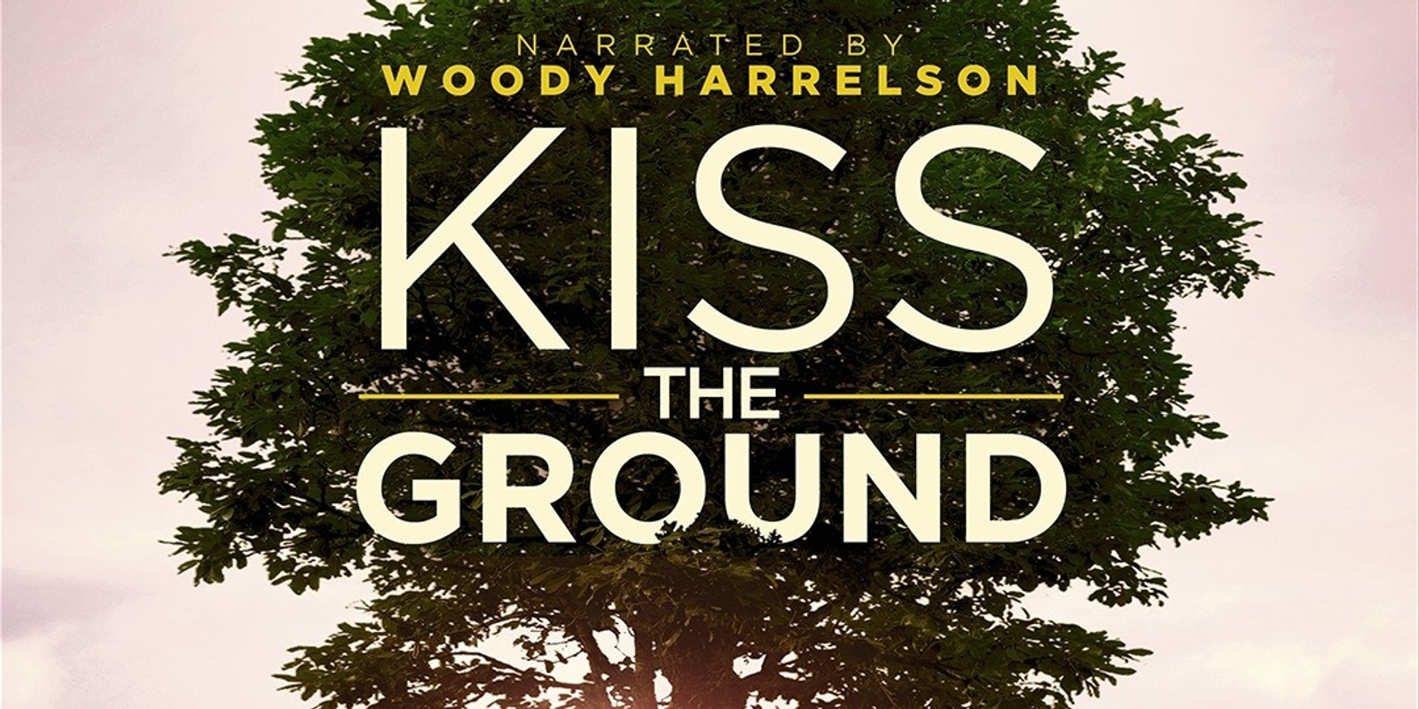 Banner image for Transition Town Vincent Movie Night - Kiss the Ground