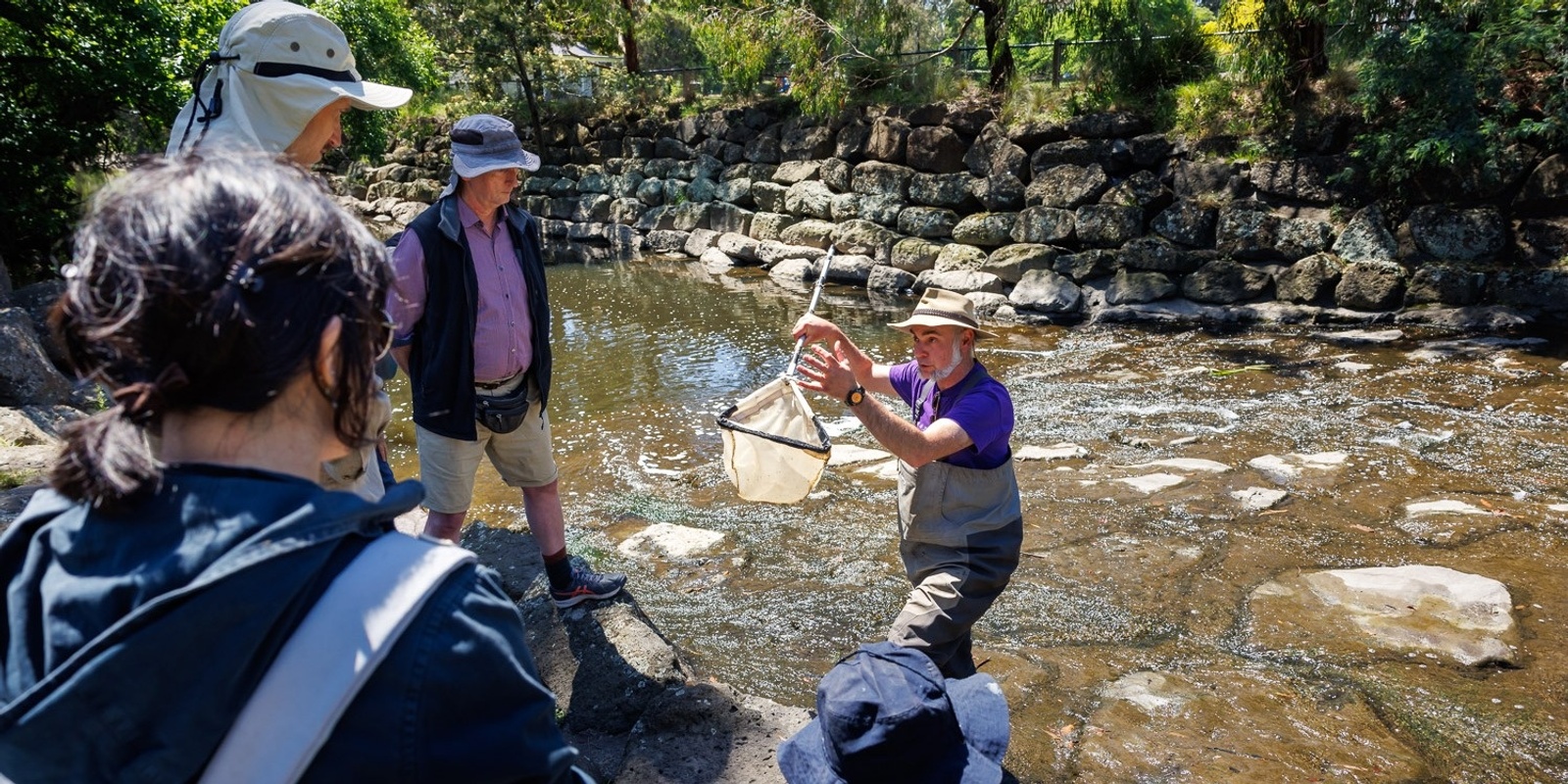 Banner image for The Waterbugs of Gardiners Creek / KooyongKoot