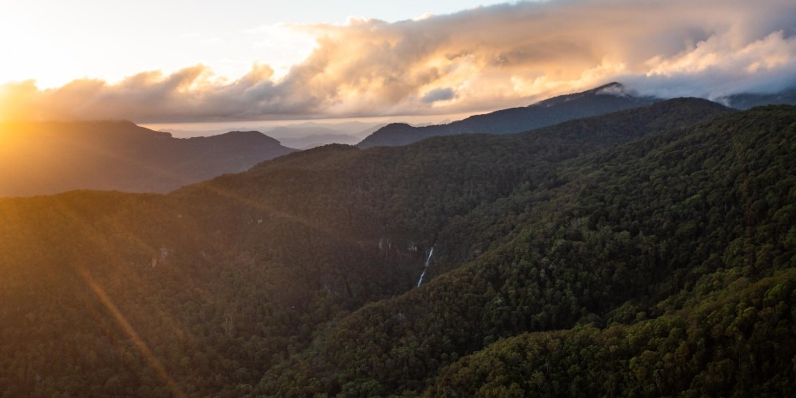 Banner image for Lamington National Park - Guided Walks (7 Sep 2022)