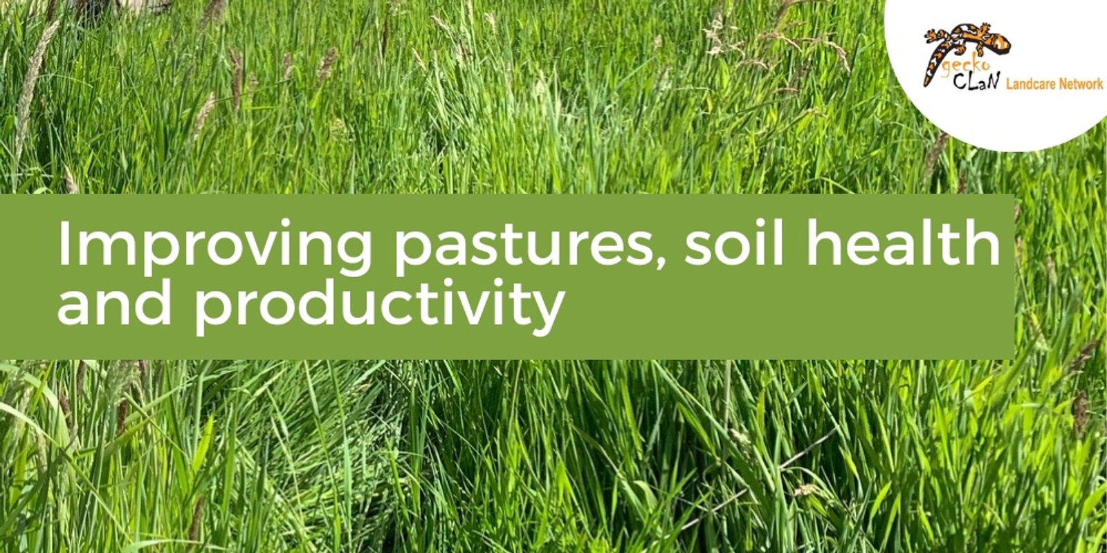 Banner image for Improving pastures, soil health and productivity