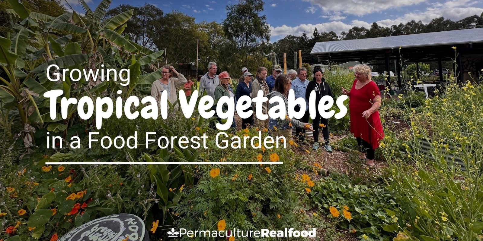 Banner image for Growing Tropical Vegetables in a Food Forest Garden