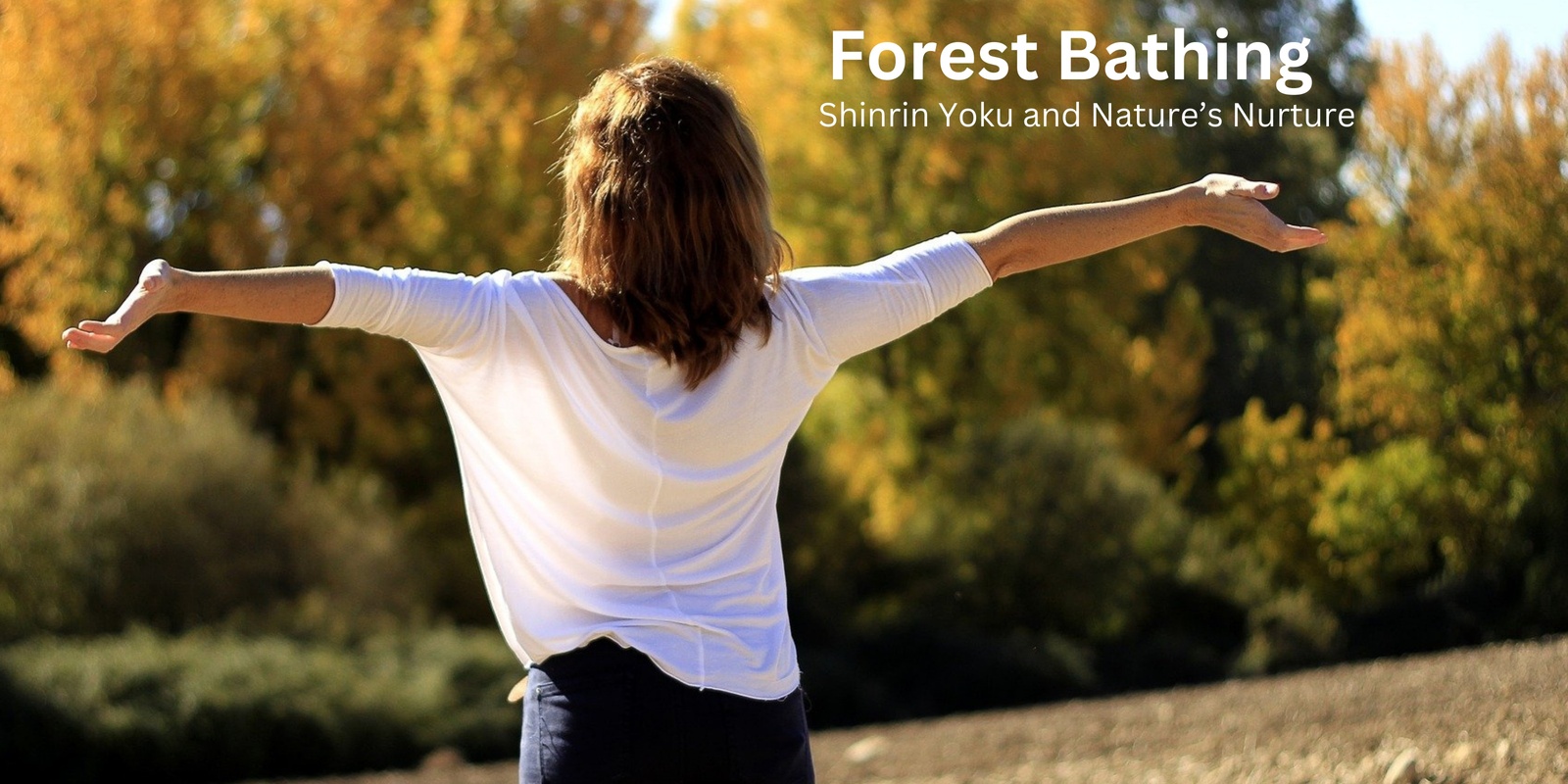 Banner image for  "Forest Bathing: Shinrin Yoku and Nature's Nurture"