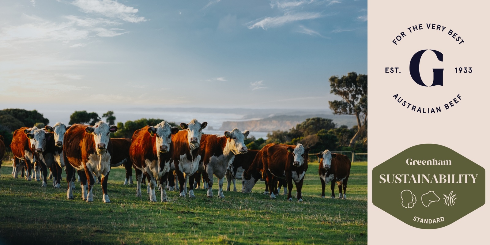 Banner image for Greenham Beef Sustainability Standard Launch