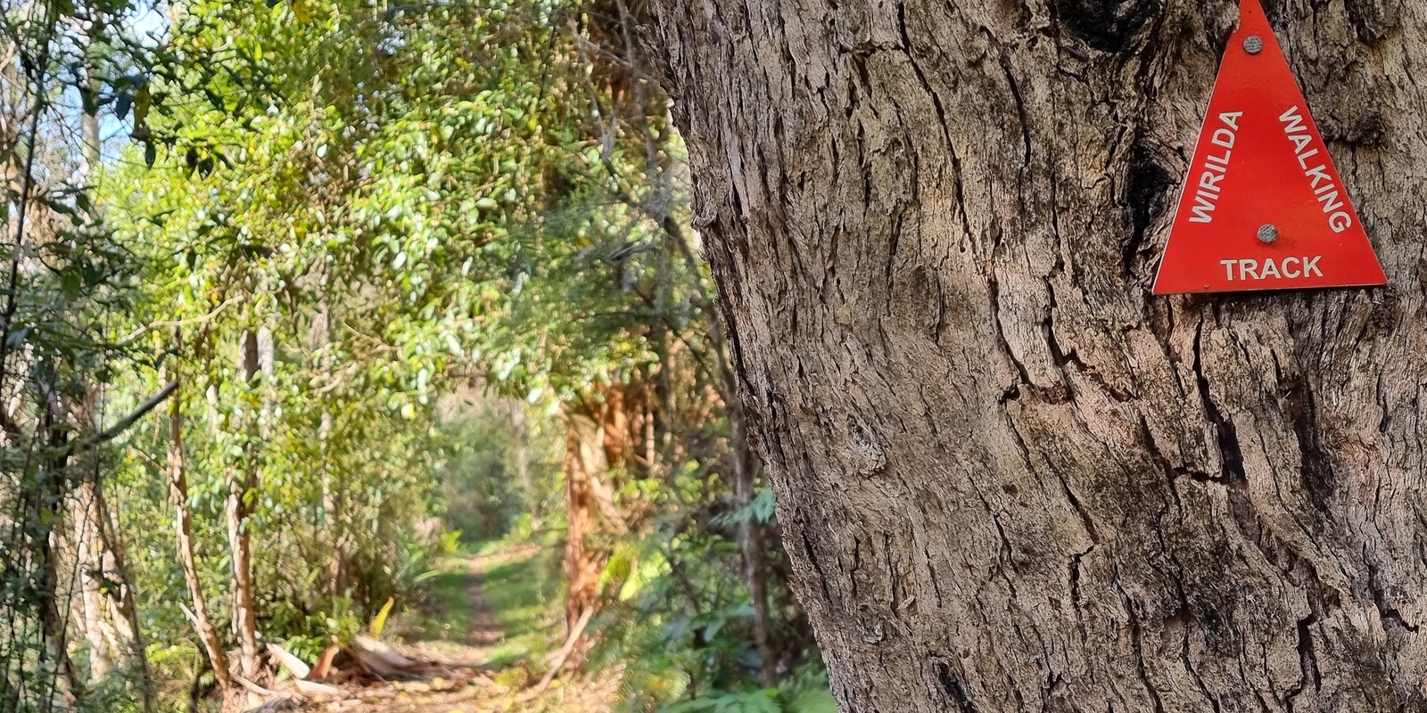 Banner image for Wirilda Walking Track through the Tyers Gorge - Grade 3 (Medium)