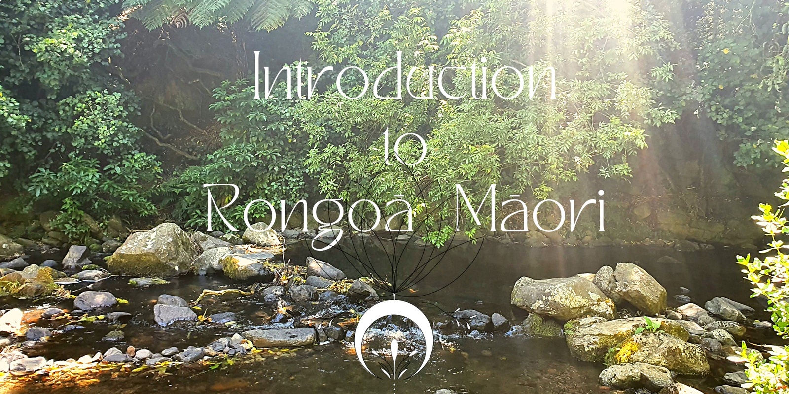 Banner image for Introduction to Rongoa Māori CHRISTCHURCH 