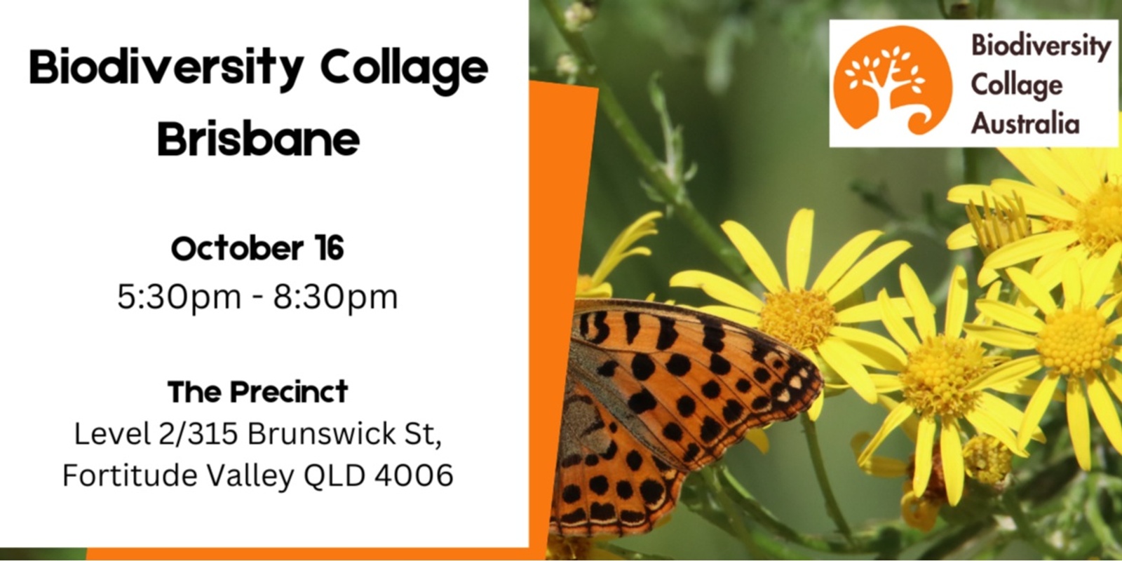 Banner image for Biodiversity Collage Brisbane