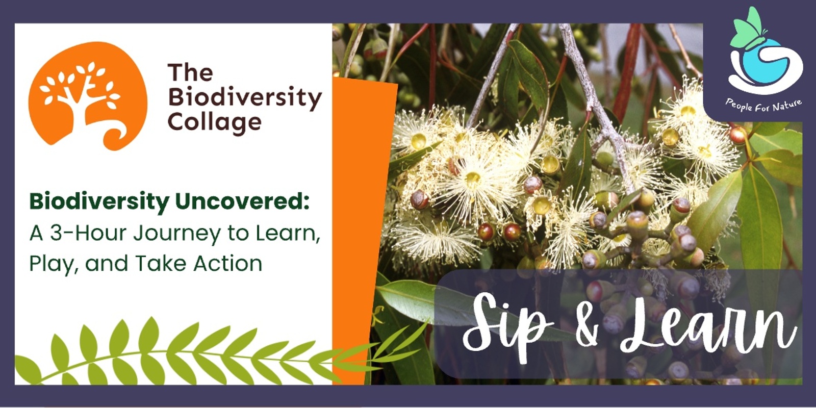 Banner image for Biodiversity Collage Brisbane - National Tree Day - July 2025