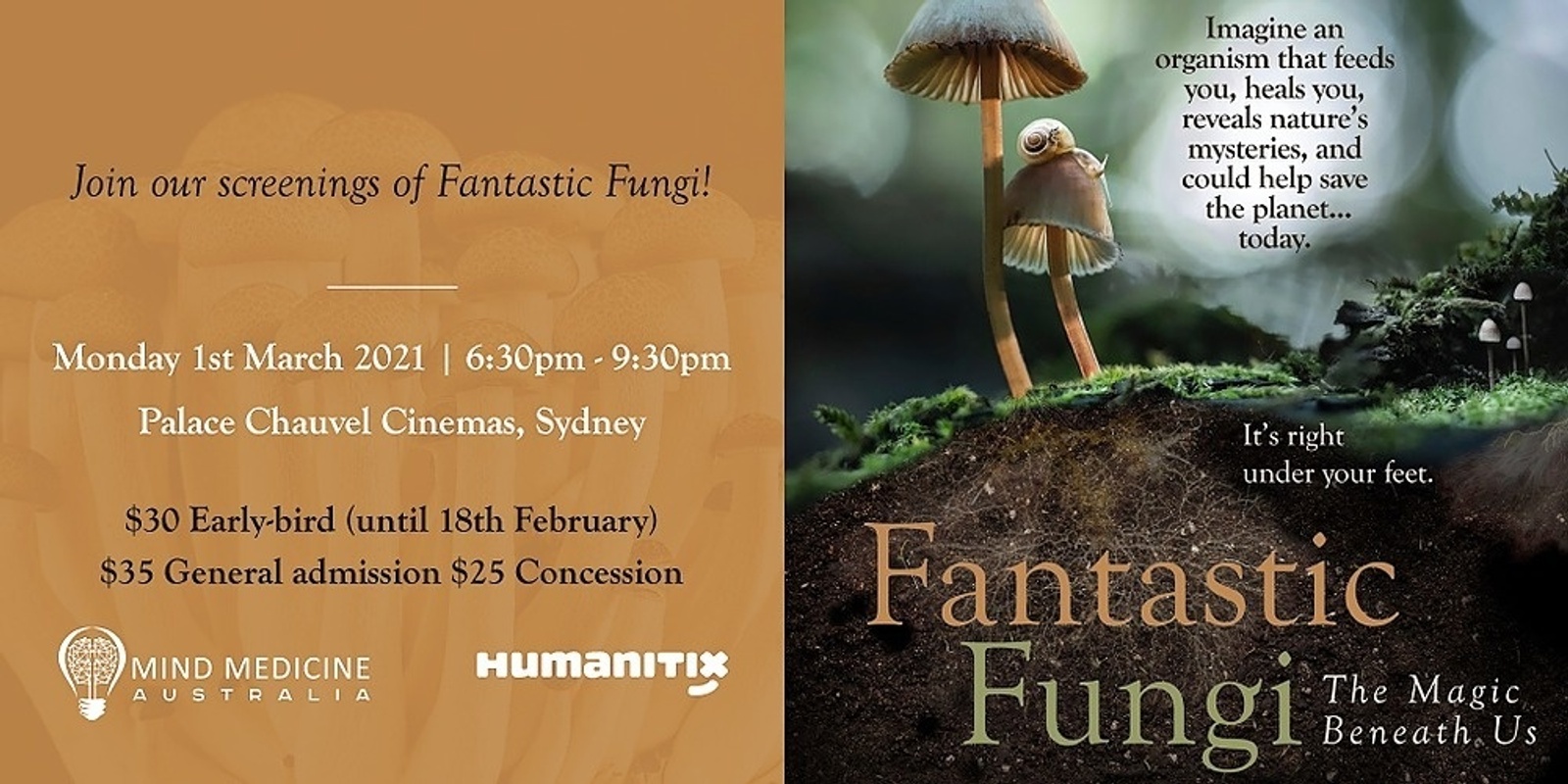 Fantastic Fungi - Sydney 