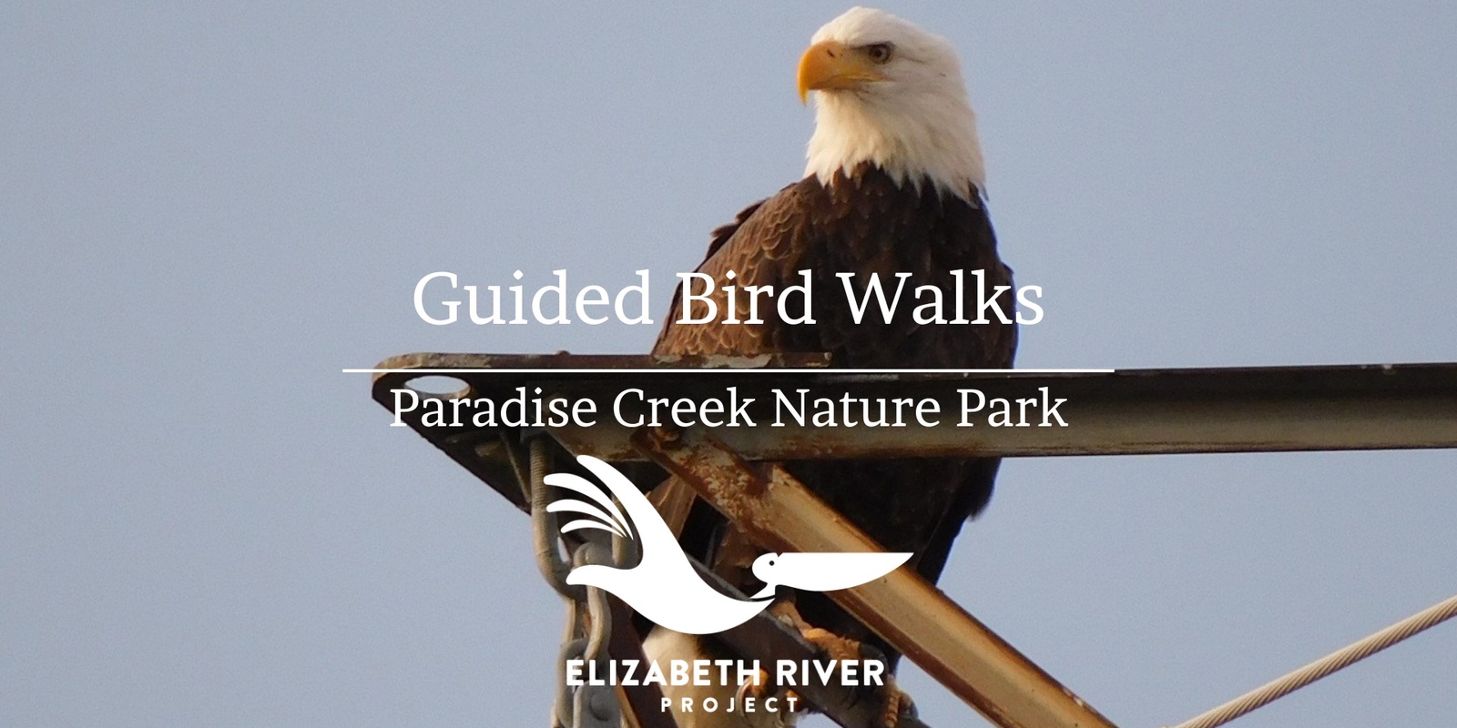 Banner image for FREE Guided Bird Walks at Paradise Creek Nature Park