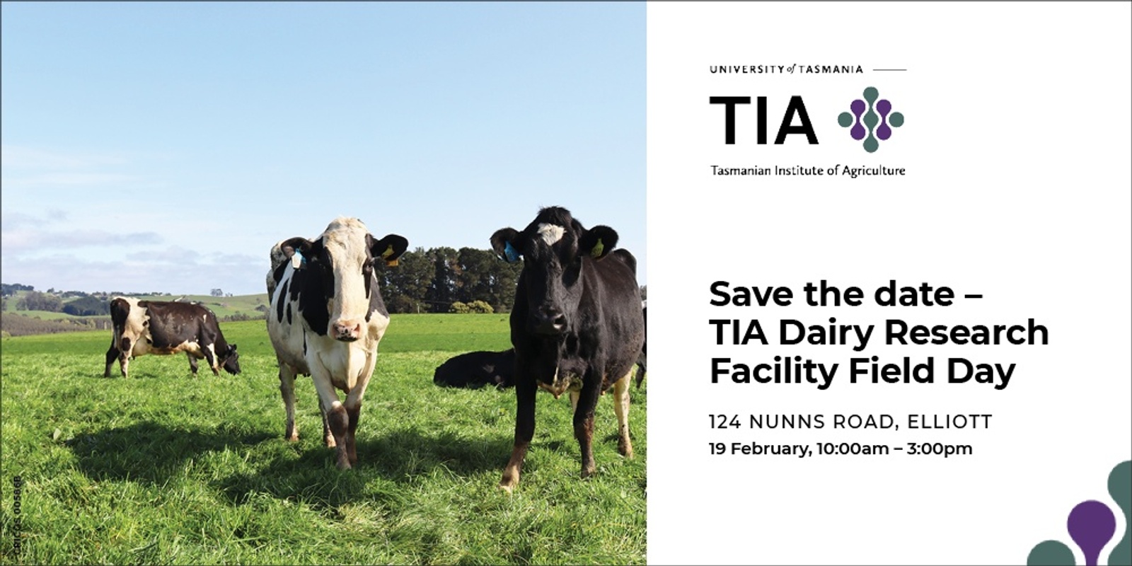 Banner image for TIA Dairy Research Facility Field Day 2025