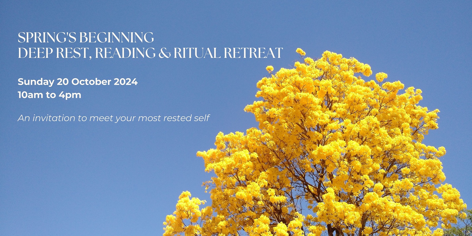 Banner image for Spring's Beginning | Deep Rest, Reading & Ritual Day Retreat