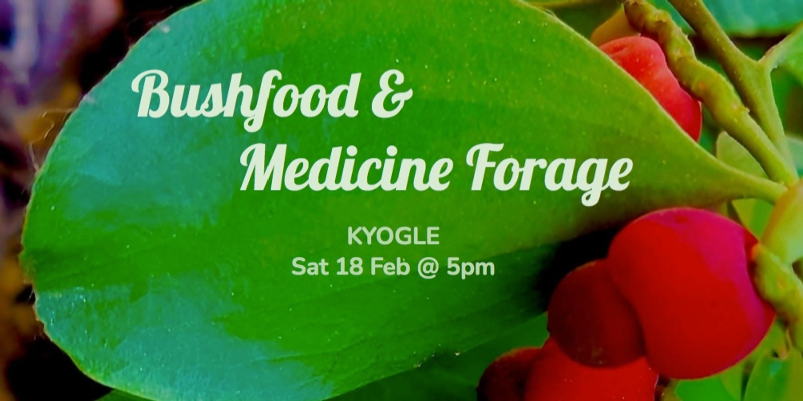 Banner image for Bushfood & Medicine Forage - Kyogle 