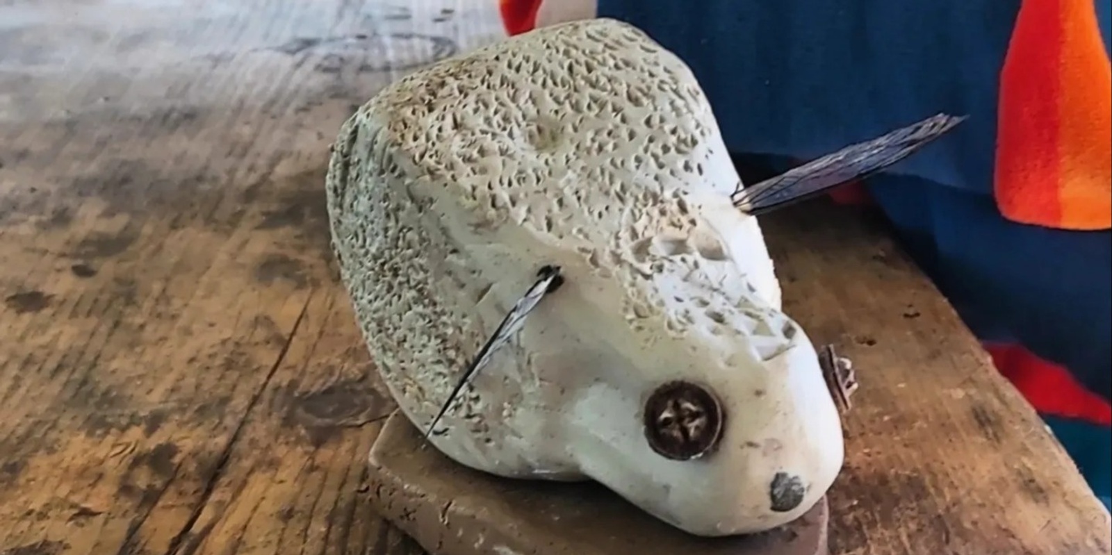 Banner image for KIDS WORKSHOP: Making Clay Seed Pod Animals - HDO '24