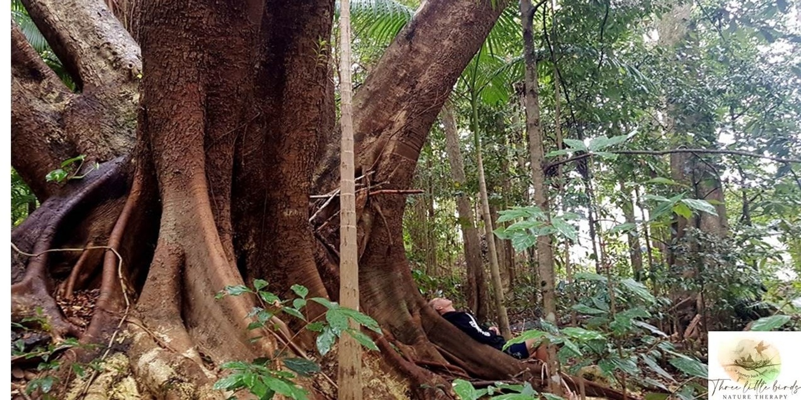 Banner image for Guided Nature Therapy Walk