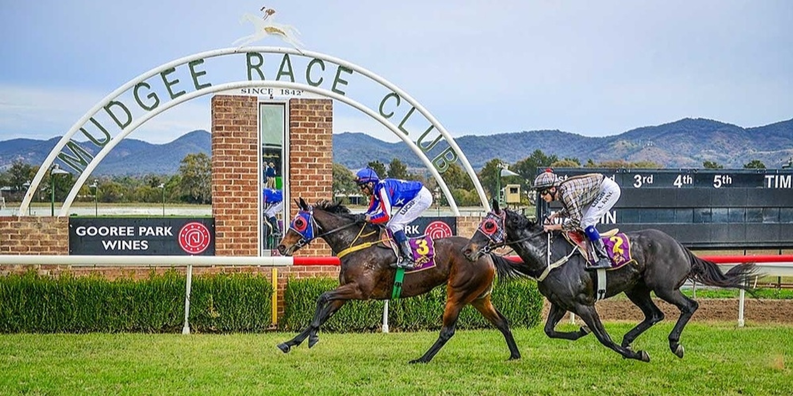 Banner image for Gulgong return bus to Mudgee Races 