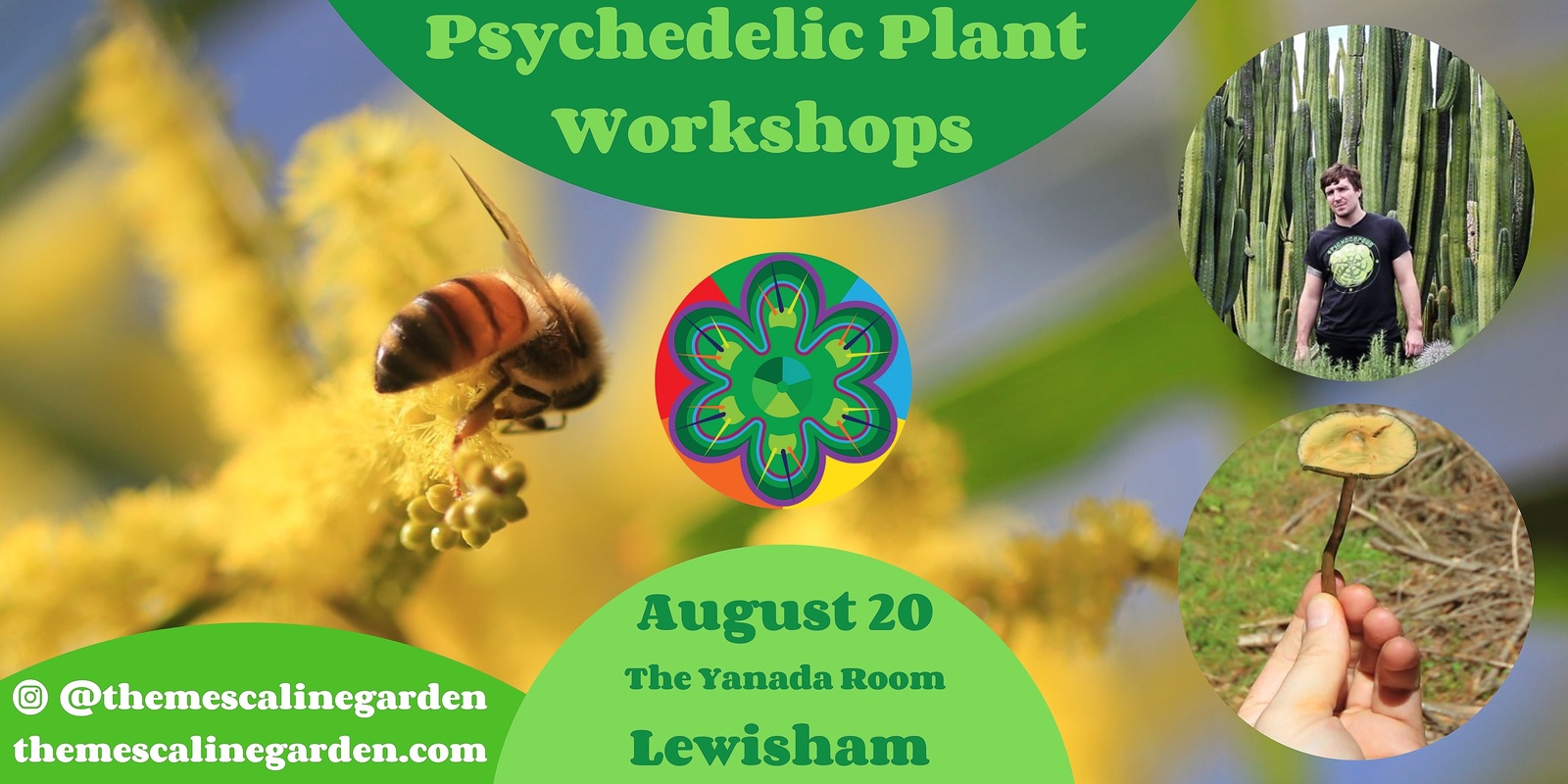 Banner image for Psychedelic plant workshops, Lewisham