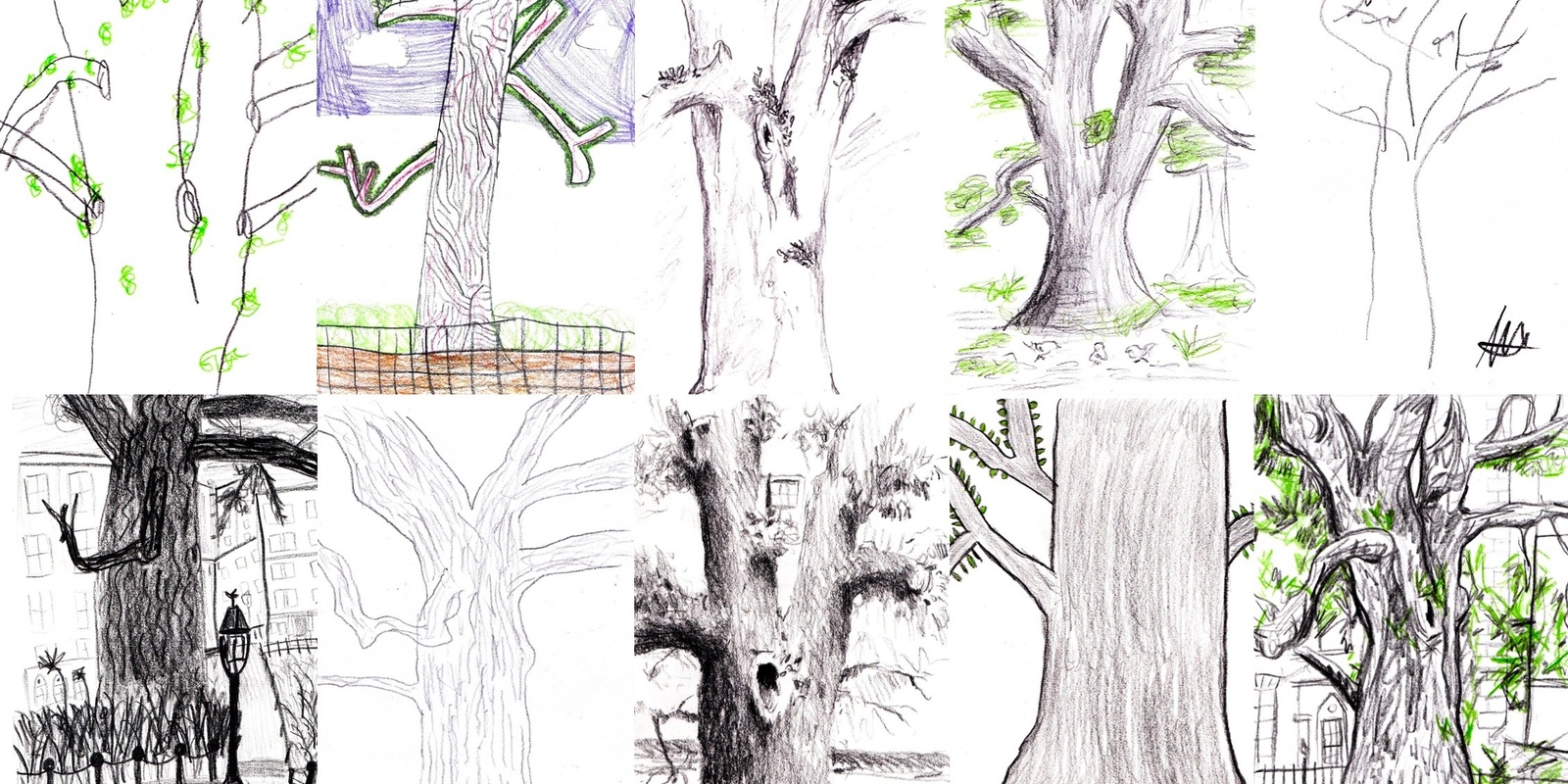 Banner image for Tree Wonder Drawing Session