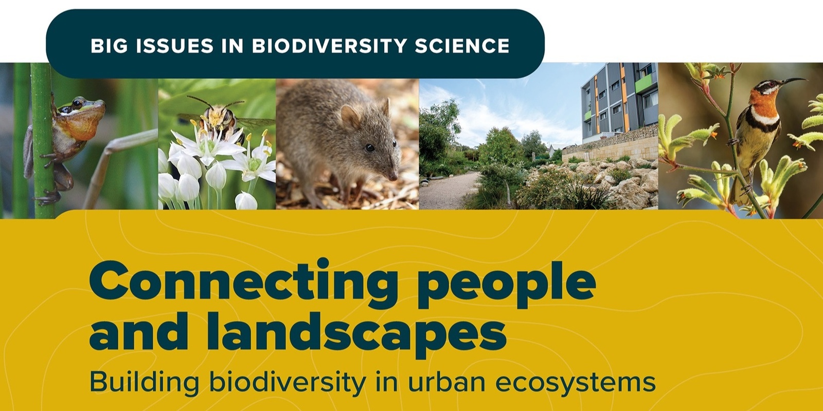 Banner image for Connecting people and landscapes: Building biodiversity in urban ecosystems