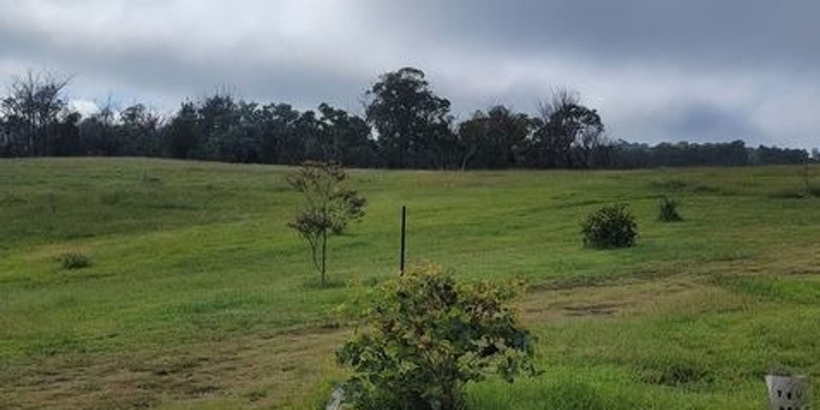 Banner image for Koala Corridor Planting Morning - Canyonleigh