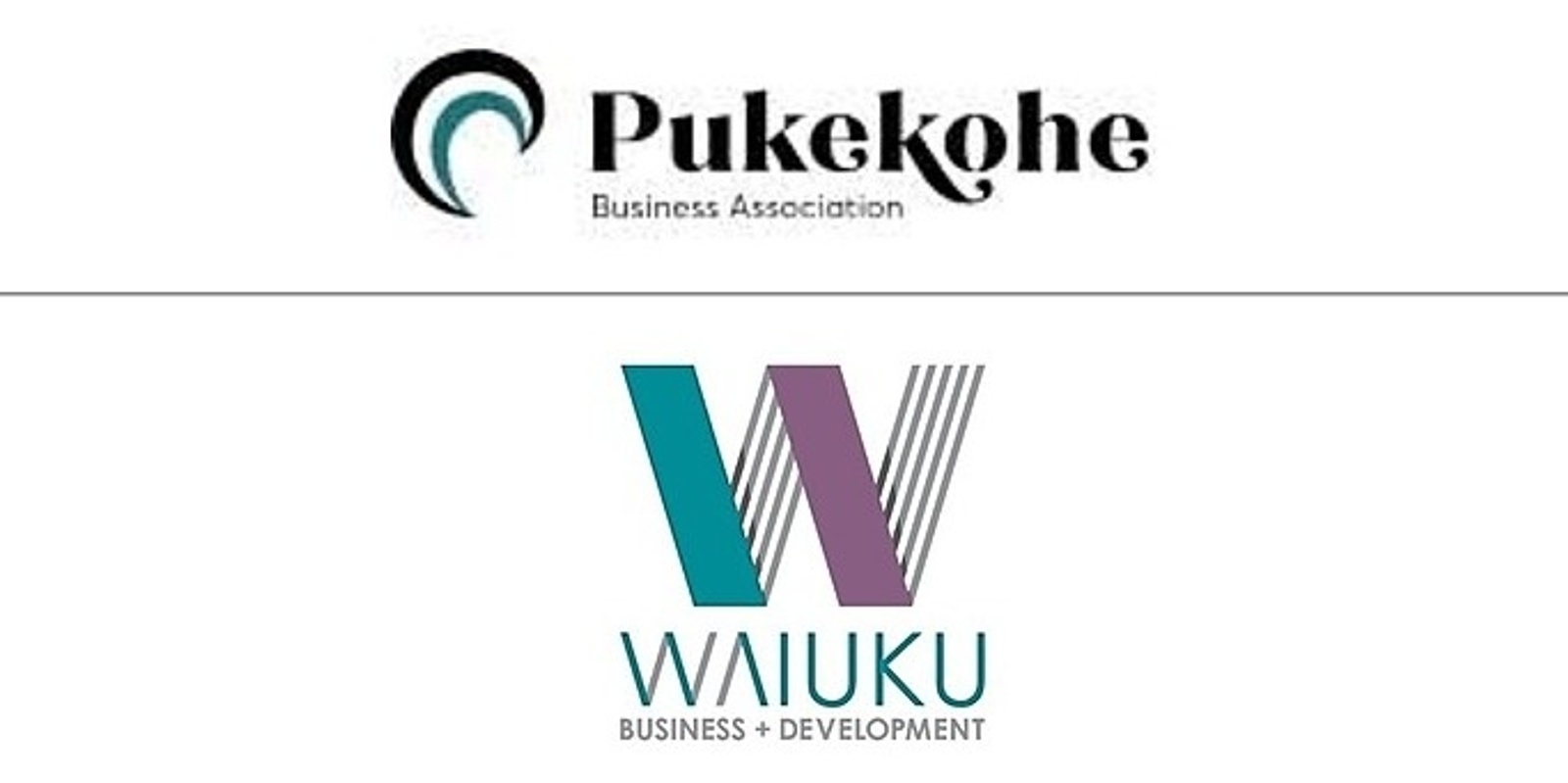 Banner image for Business Continuity Workshop: Pukekohe Business Association / Waiuku Town