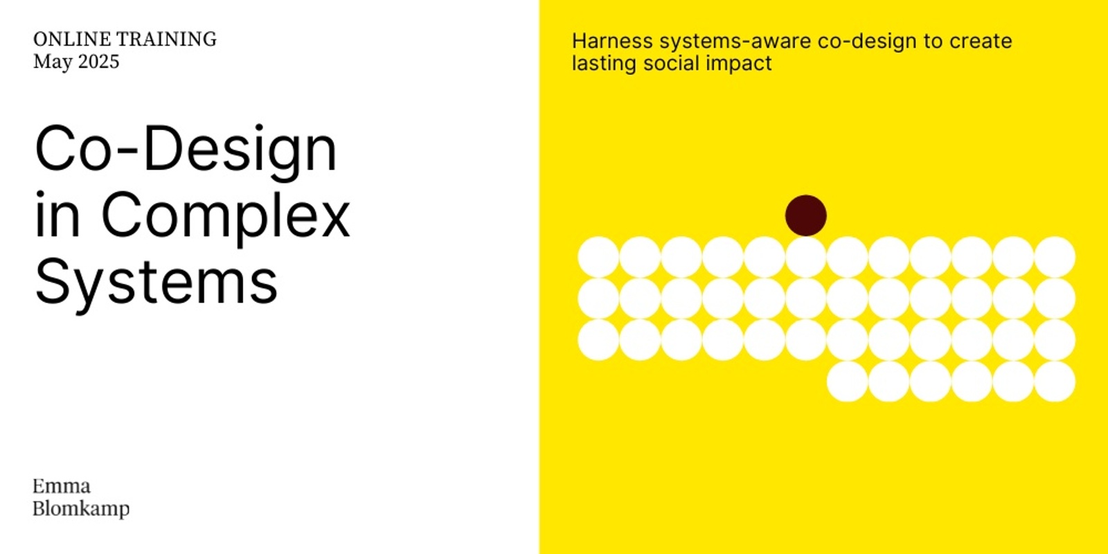 Banner image for Co-Design in Complex Systems