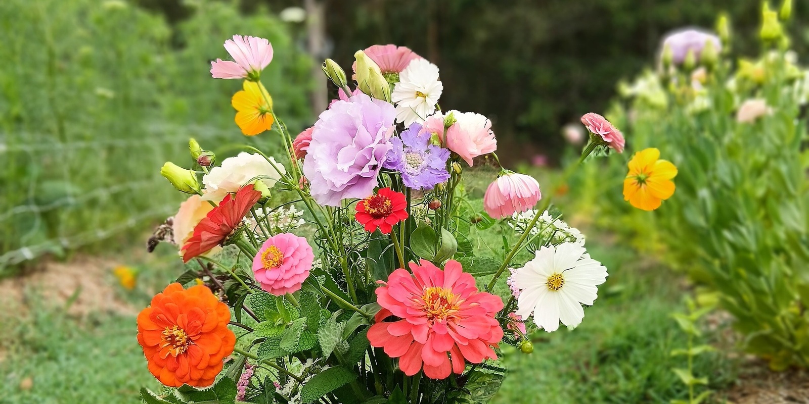 Banner image for Flower Picking Session - December 15th