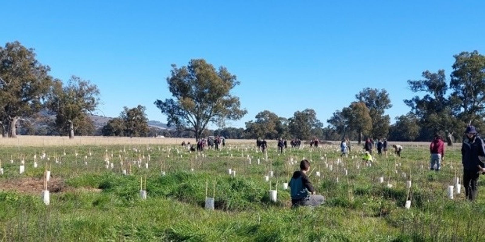Banner image for Banking on Trees Community Planting Morning 2024