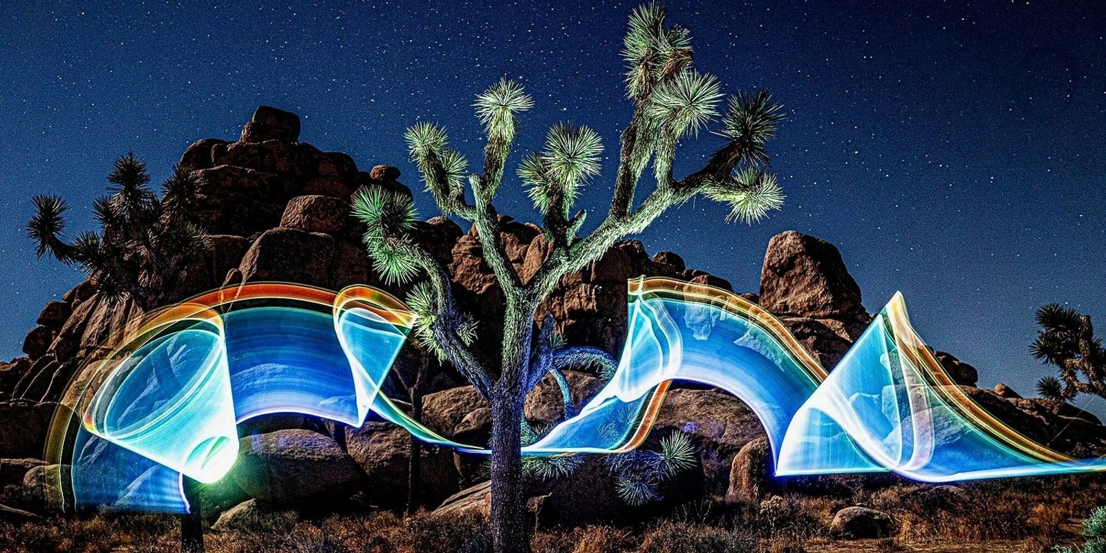 Banner image for Light Painting Photography in Joshua Tree National Park