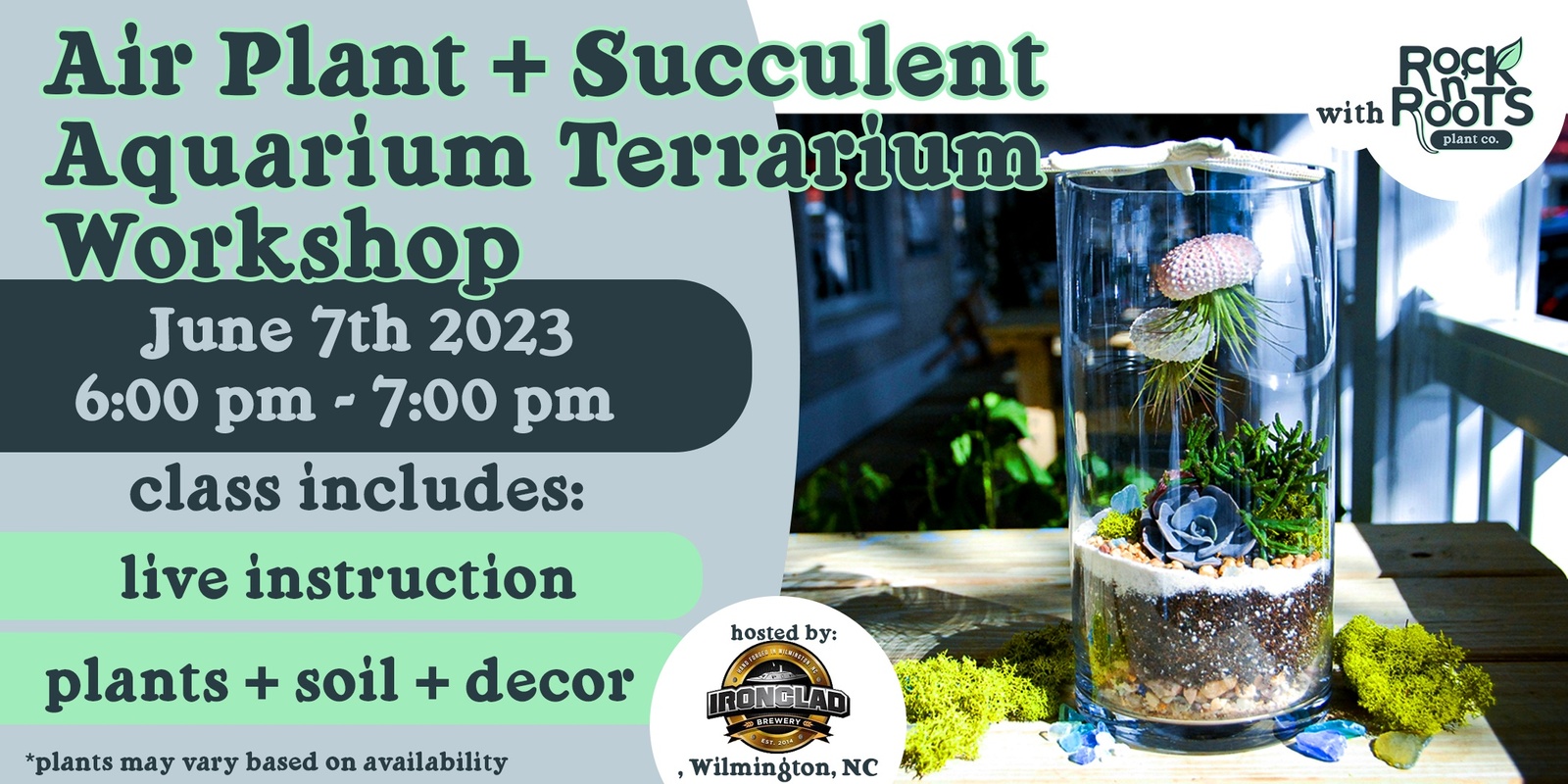 Air Plant + Succulent Aquarium Terrarium Workshop at Ironclad Brewery (Wilmington, NC)