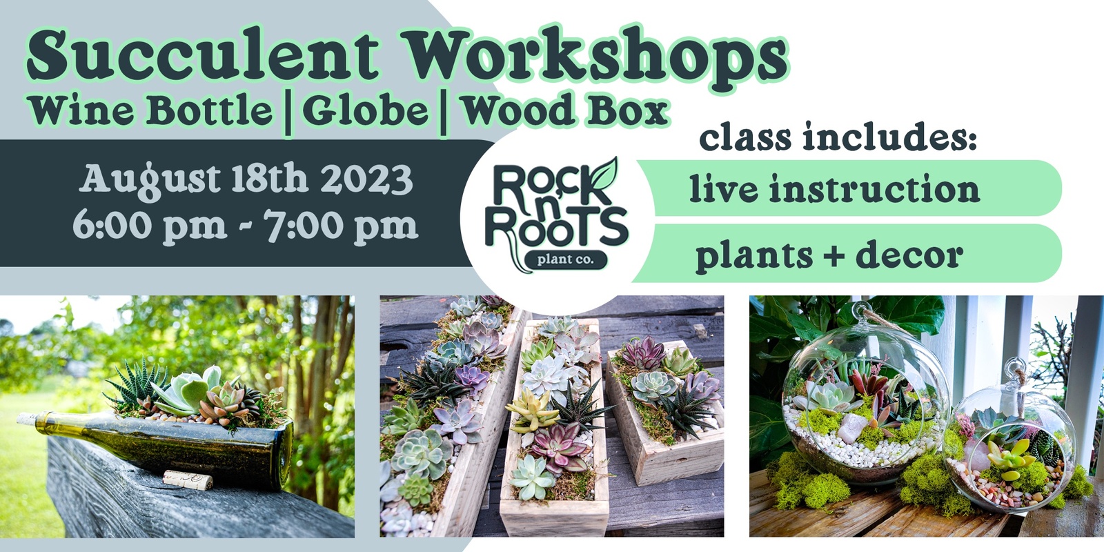 Banner image for Succulent Workshop at Rock n' Roots Plant Co. (Pawleys Island, SC)