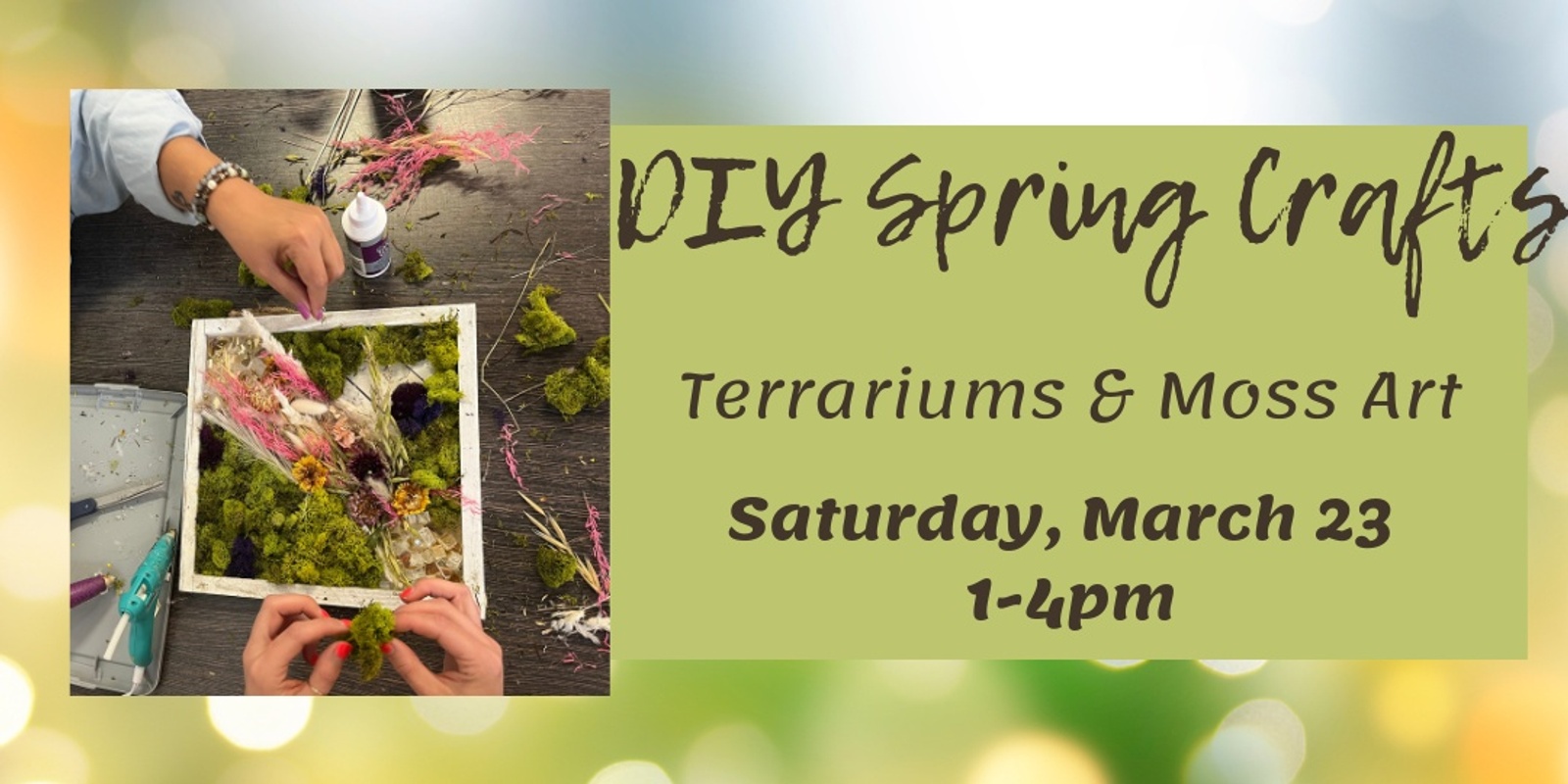 Banner image for Spring Crafts DIY Terrariums & Moss Art