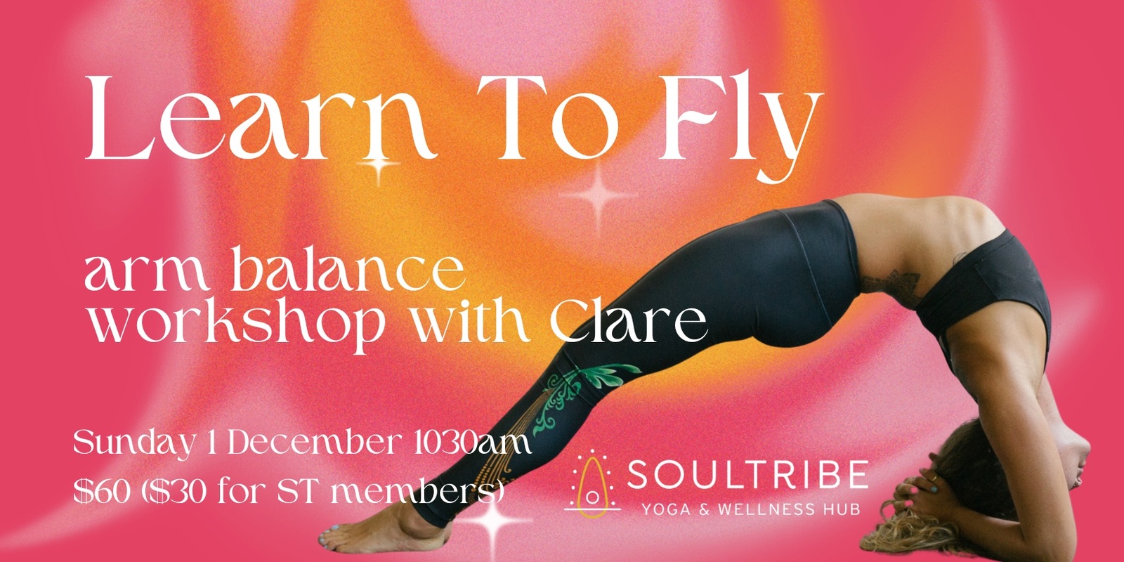 Banner image for Learn to Fly - Arm Balance workshop