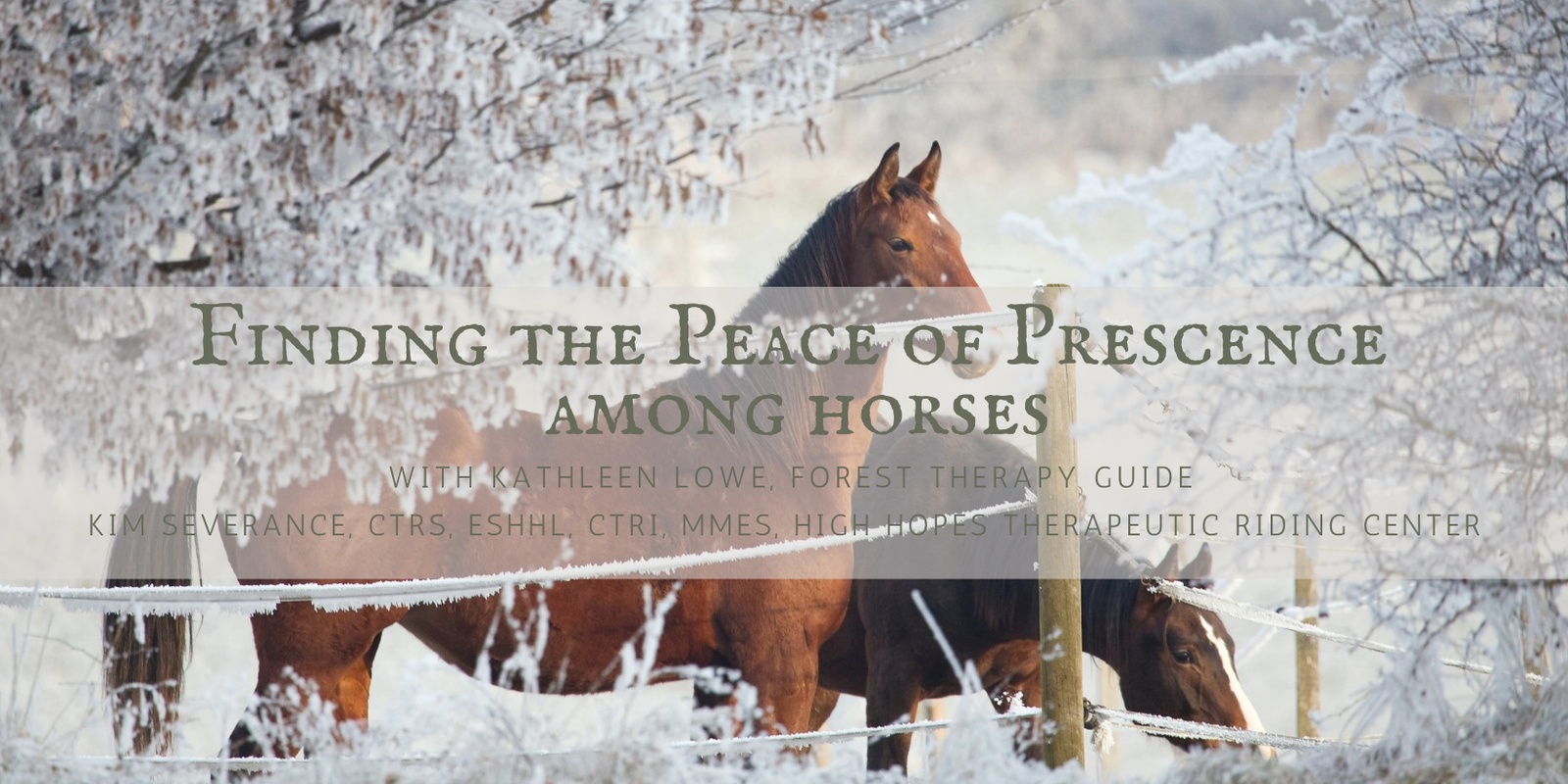 Banner image for Finding the Peace of Presence Among Horses During the Holidays