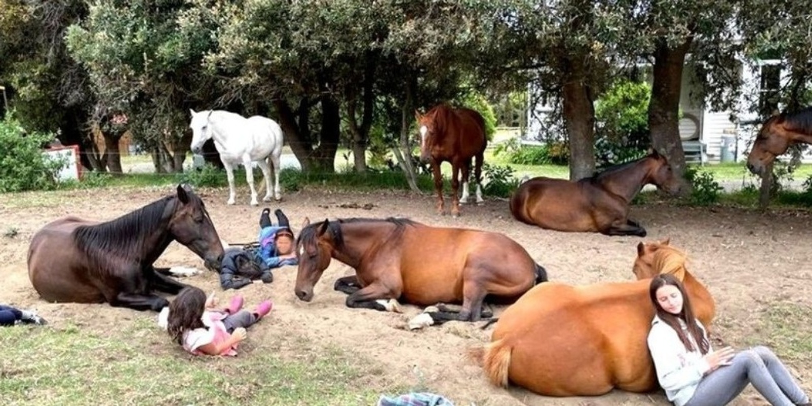 Banner image for Kids 'Life Skills' Residential Horse Camp 7-11 October: Building Confidence Through Equine Learning