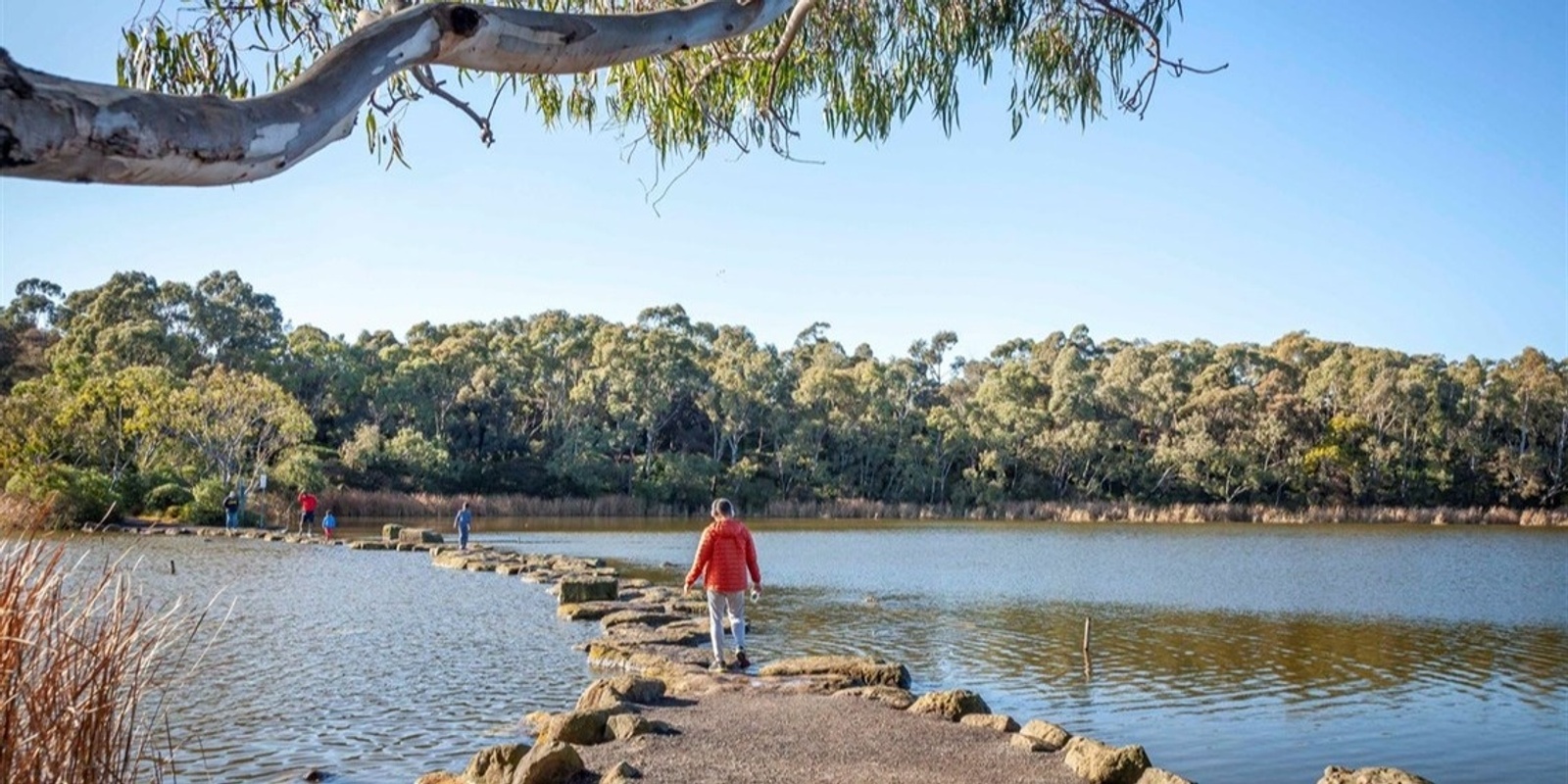 Banner image for Newport to Williamstown with a Lake and Wetlands In Between! Grade 3 (Medium)