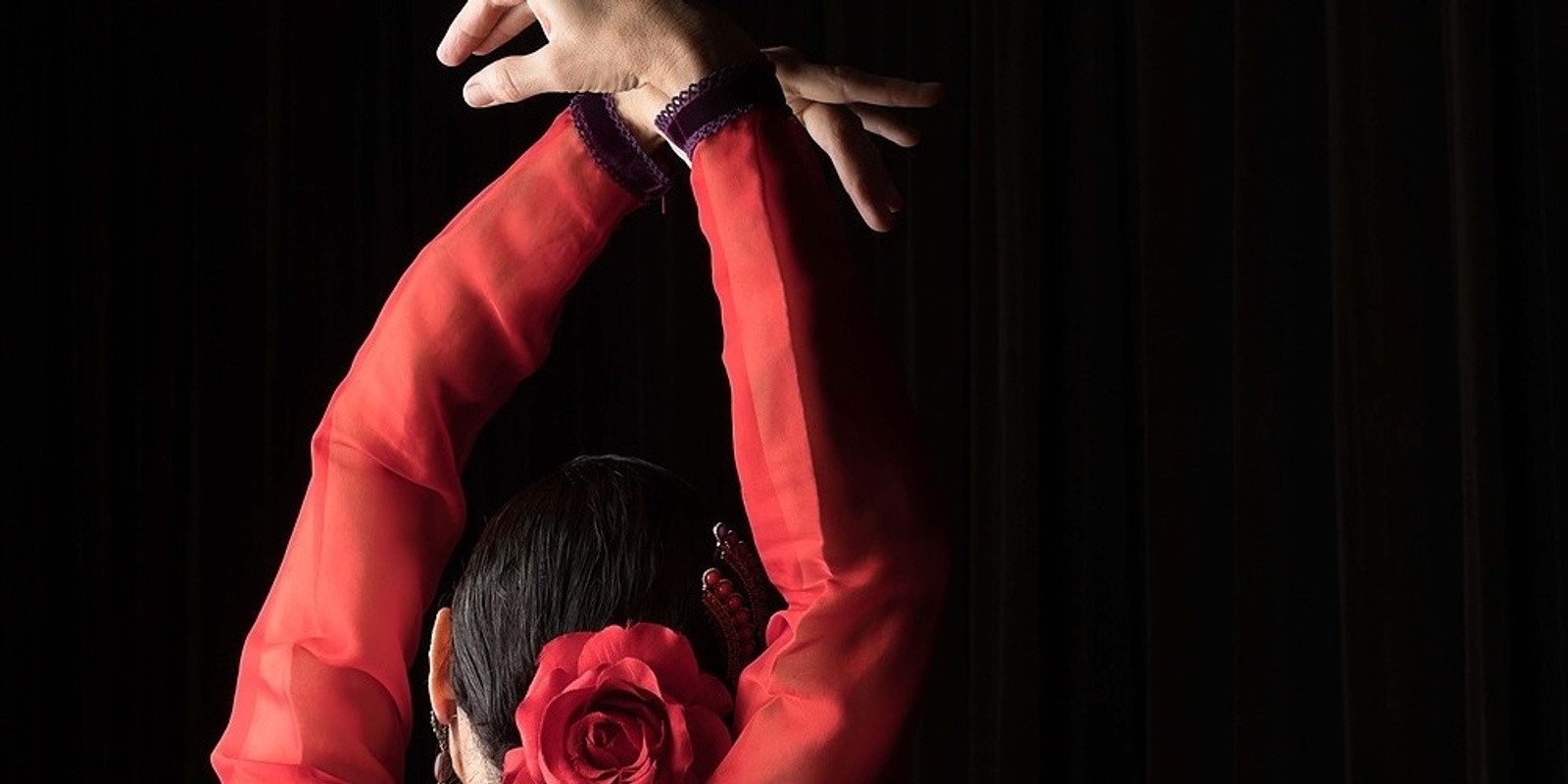 Banner image for Jaleos Flamenco (Maleny)