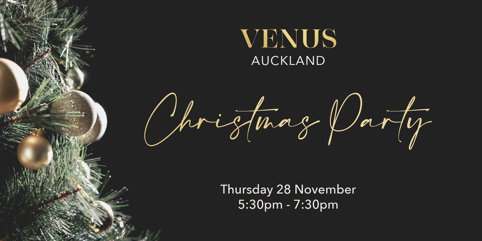 Banner image for Venus Auckland Xmas Party