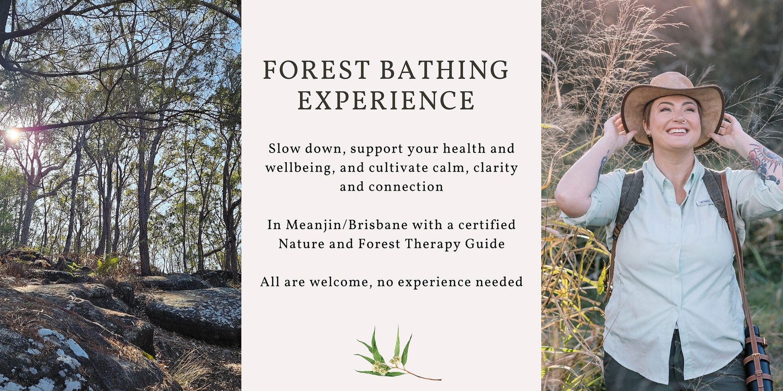 Banner image for Forest Bathing Experience - A Mindful Wander in Toohey Forest